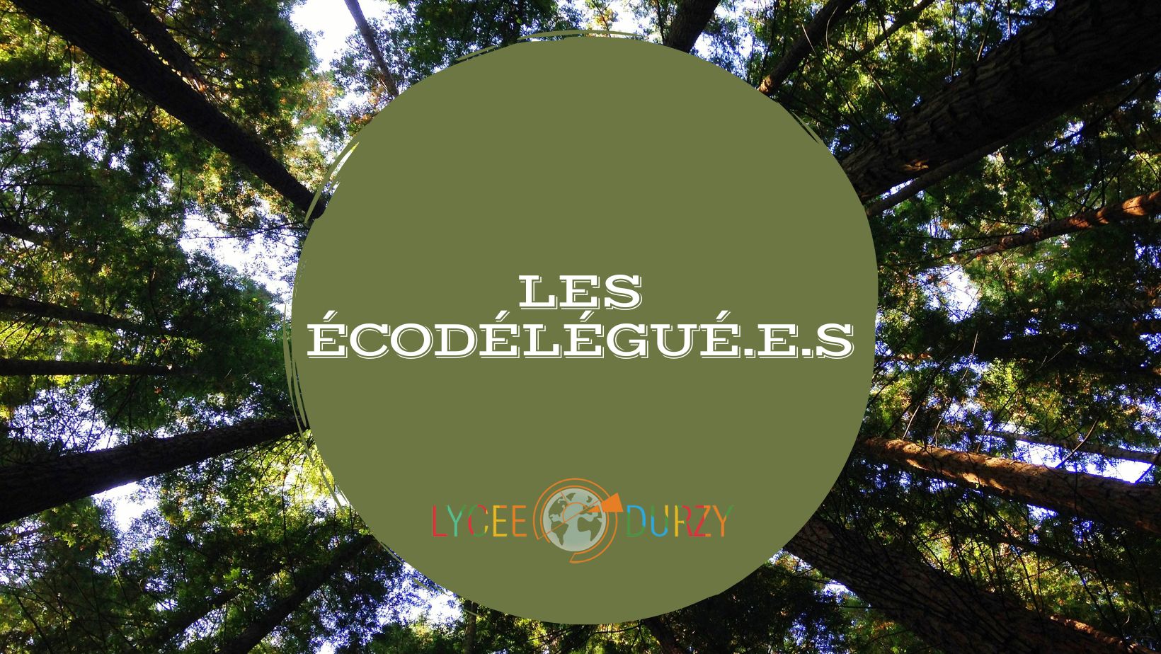 You are currently viewing Les écodélégué.e.s